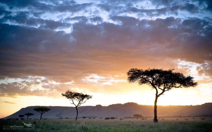12 most famous landmarks in Kenya that you need to visit - Tuko.co.ke Kenya central bank cuts main lending rate 975