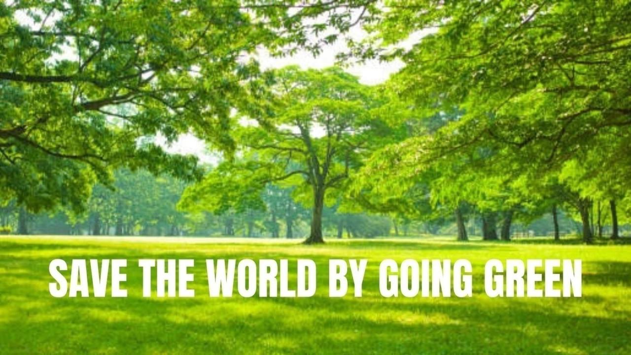 Leadership Coaching by The Green Box for Sustainable Operations With right support green solutions can thrive power better world