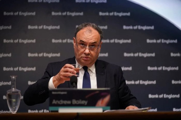 Boes bailey hopes closer eu ties trade financial services