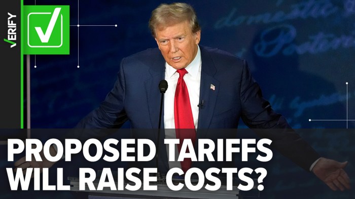 Us court blocks trumps liberation day tariffs