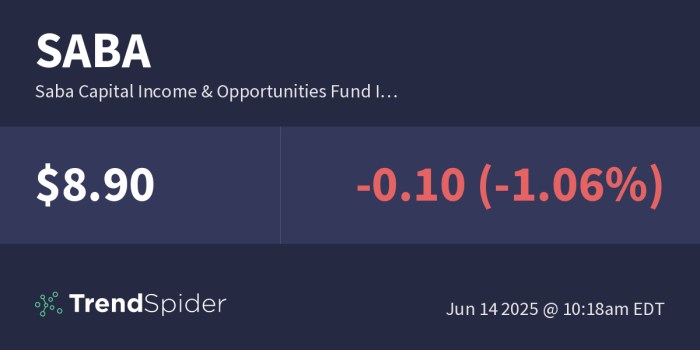 Hedge fund saba reaches agreement with another investment trust target