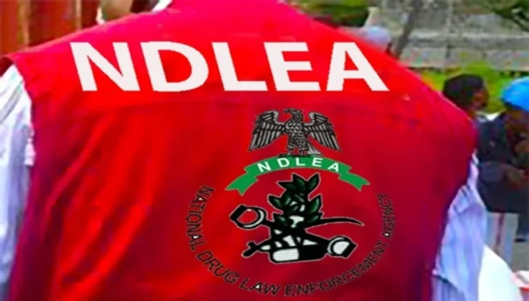 NDLEA Intensifies Call for Strict Imprisonment Over Fines for Drug Traffickers Amidst Rising Substance Abuse Concerns