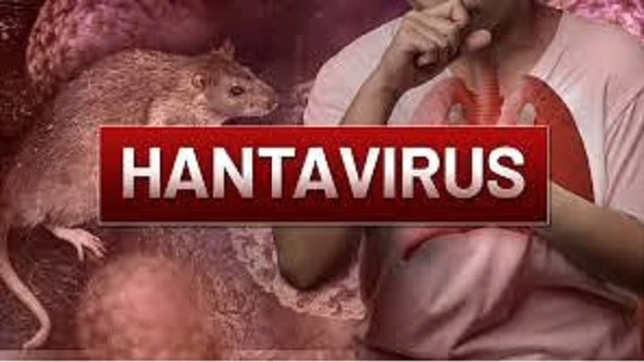 WHO Urges International Solidarity and Humanitarian Action Following Successful Hantavirus Evacuation Operations on MV Hondius