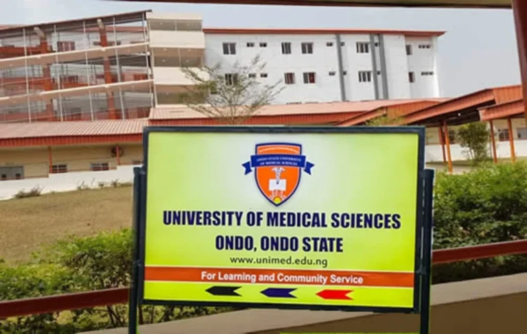 Nigeria needs graduates of character, not academic stars alone — UNIMED VC