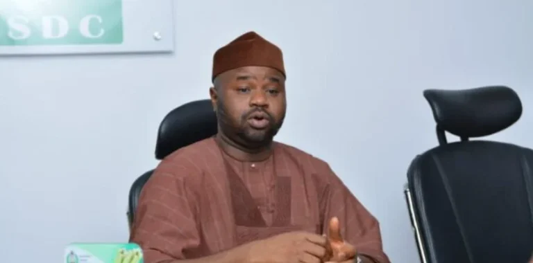Nigeria Revenue Service Mandates Full E-Invoicing Adoption for Large Taxpayers by July 31, 2026, Citing Enhanced Tax Administration and Transparency