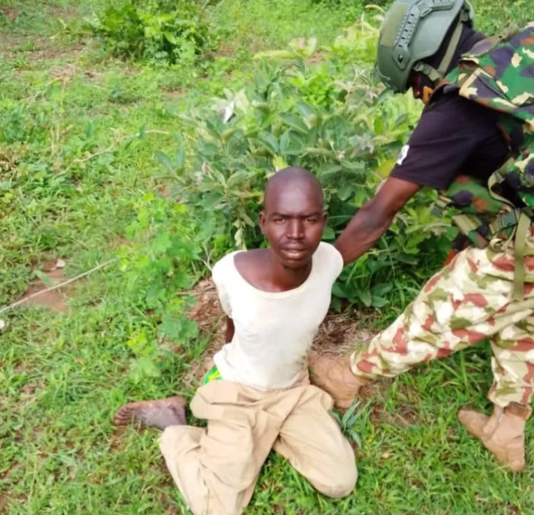 Nigerian Troops Apprehend Sudanese Terror Suspect and Ghanaian Illegal Immigrant in Borno State Amidst Heightened Security Operations
