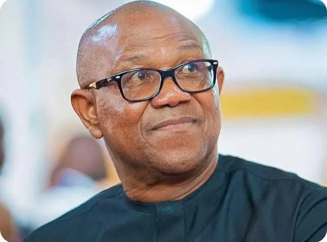 Obi’s transparency stance earned him respect, says Kano NDC gov candidat
