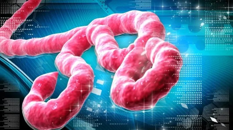 Oxford University and CEPI Launch Worlds First Human Clinical Trial for Bundibugyo Ebola Vaccine Amid Rising Outbreak in Democratic Republic of Congo