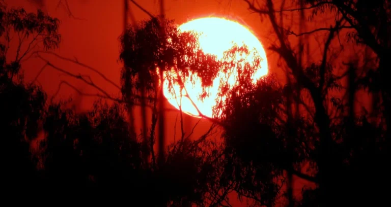 Global Temperatures Breach Critical 1.5°C Threshold Again as August 2026 Ties Record as Warmest Month in History