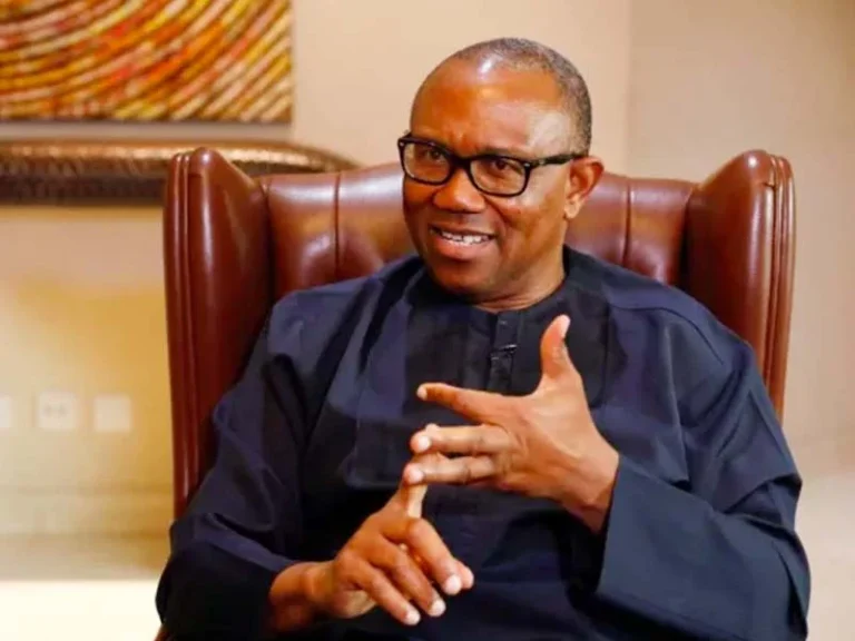 I will jail anyone who rigs election under my administration Peter Obi says