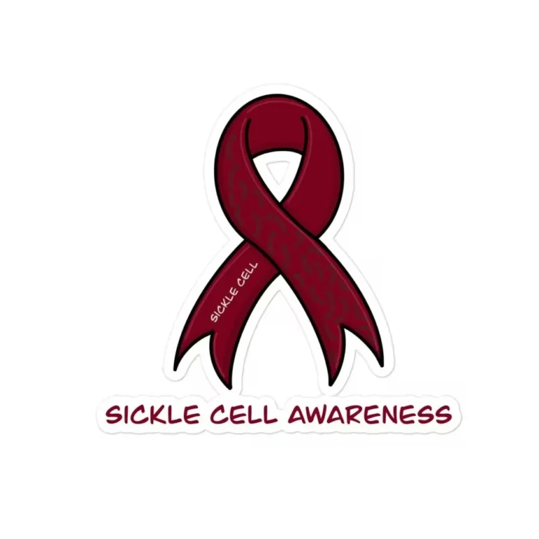 Nigeria Champions Global Initiative to Combat Sickle Cell Disease at the 81st United Nations General Assembly