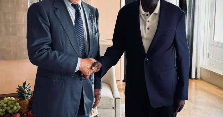 Tinubu meets French tycoon, seeks investment in Nigeria’s creative economy